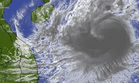 Bão số 8 hướng vào Nghệ An - Quảng Trị